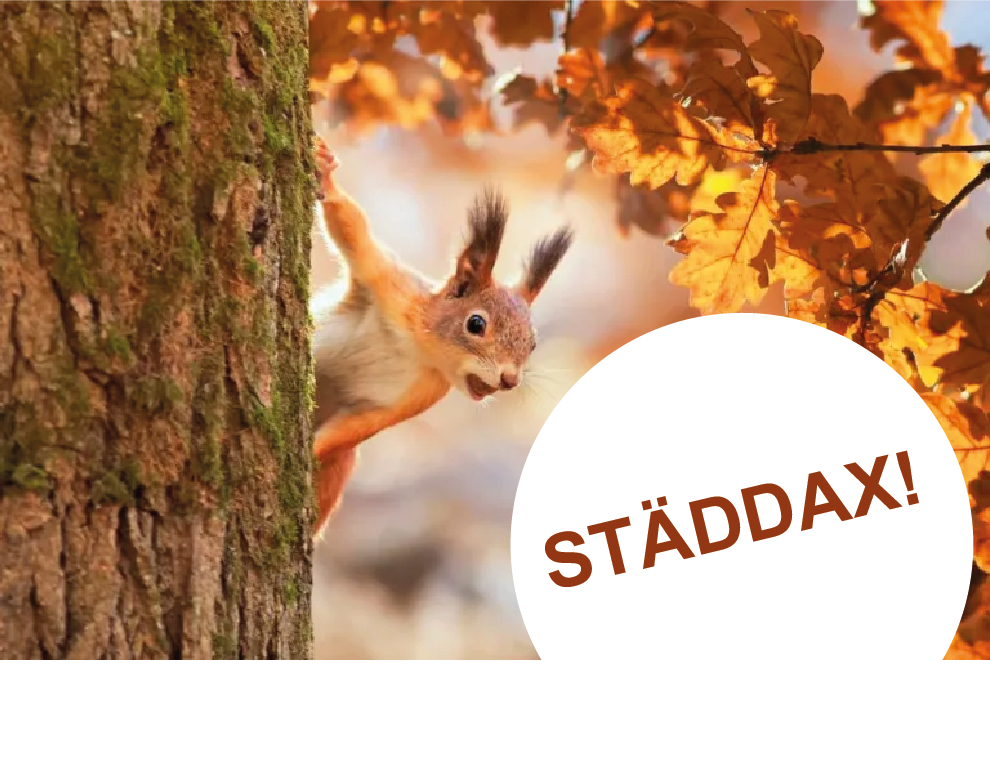 Höstens städdag