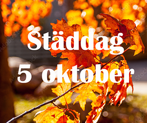 4 DAGAR KVAR....